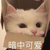 meowlanlan